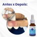homeopast - ÓLEO OZONIZADO - CAIXA COM 6 