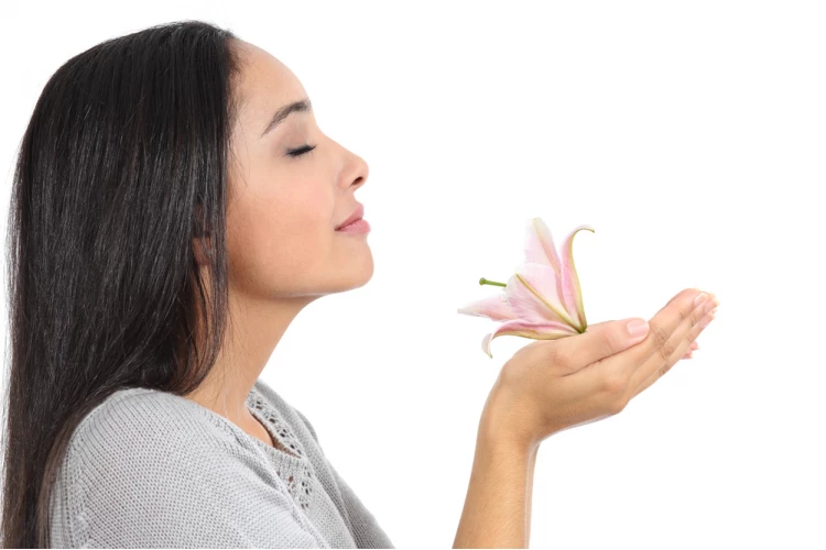 Aromaterapia e Bem Estar Aromaterapia e Bem Estar